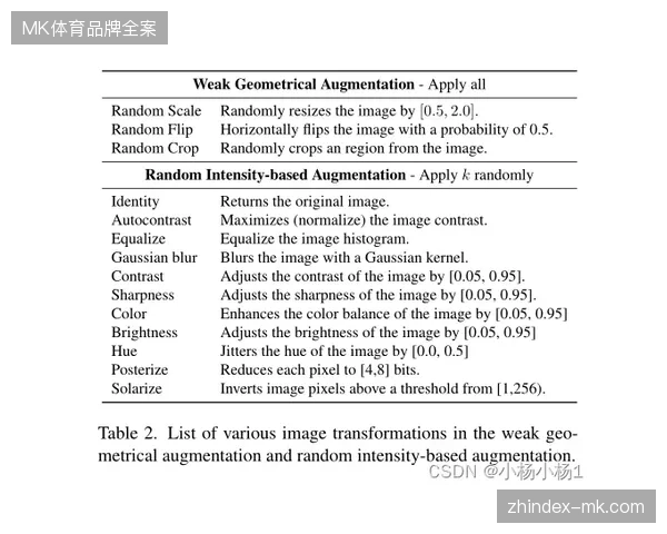 简化的核销流程是否以牺牲赛事入场安防强度为代价